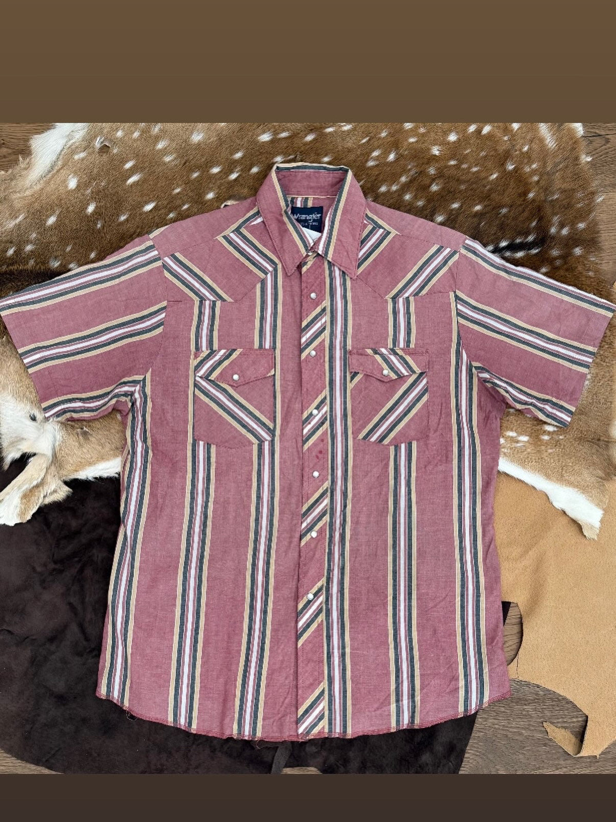 Men's Short Sleeve